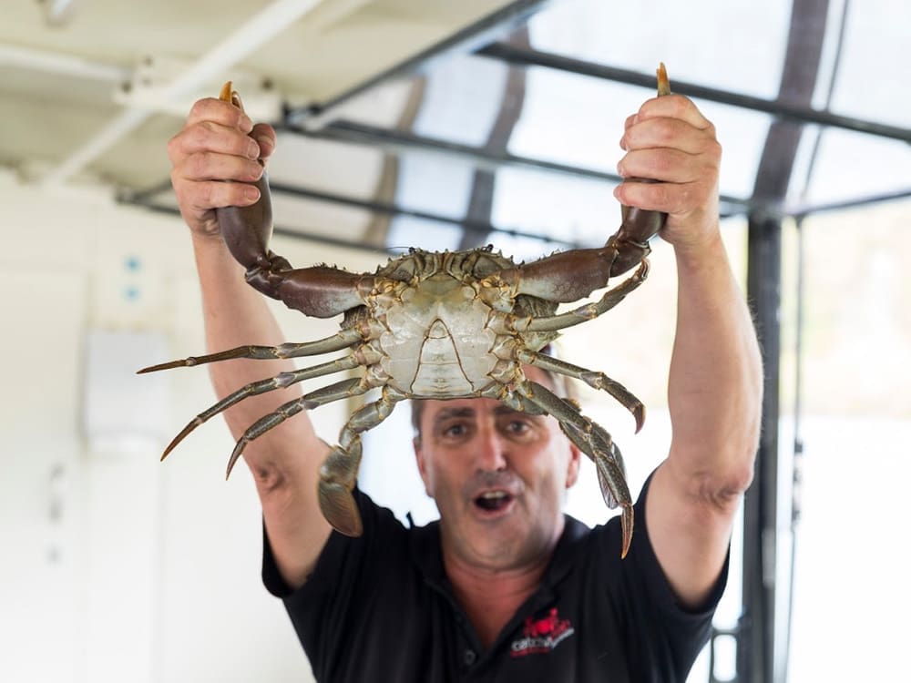 골드코스트 게잡이 투어 (Catch a Crab)